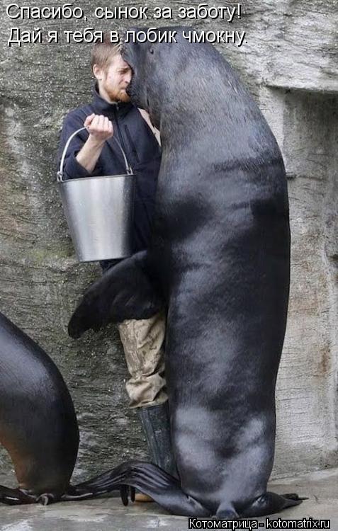 Котоматрица: Спасибо, сынок за заботу! Дай я тебя в лобик чмокну.