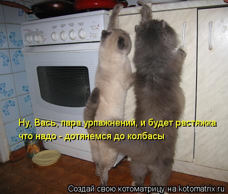 Котоматрица: Ну, Вась, пара урпажнений, и будет растяжка   что надо - дотянемся до колбасы