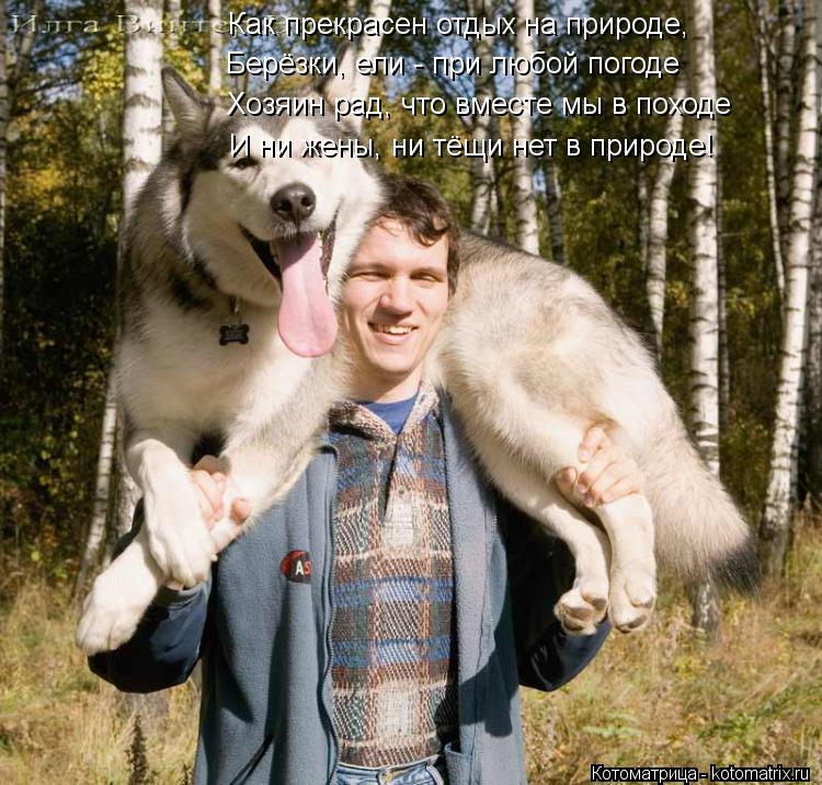 Котоматрица: Как прекрасен отдых на природе, Берёзки, ели - при любой погоде Хозяин рад, что вместе мы в походе И ни жены, ни тёщи нет в природе!