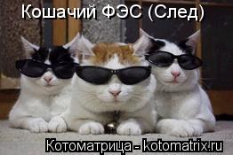 Котоматрица: Кошачий ФЭС (След)