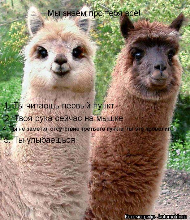 Котоматрица: Мы знаем про тебя всё! 1. Ты читаешь первый пункт 2. Твоя рука сейчас на мышке. 4. Ты не заметил отсутствие третьего пункта, ты это провелил. 5. Ты