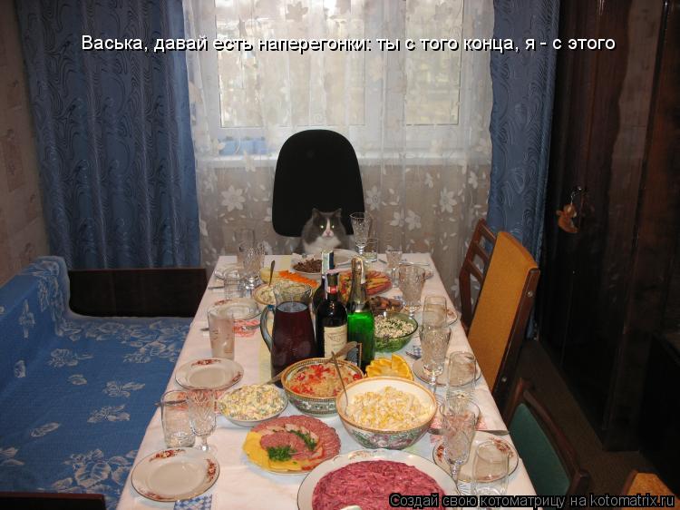 Котоматрица: Васька, давай есть наперегонки: ты с того конца, я - с этого