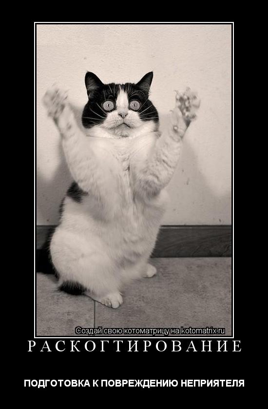 Котоматрица: РАСКОГТИРОВАНИЕ ПОДГОТОВКА К ПОВРЕЖДЕНИЮ НЕПРИЯТЕЛЯ