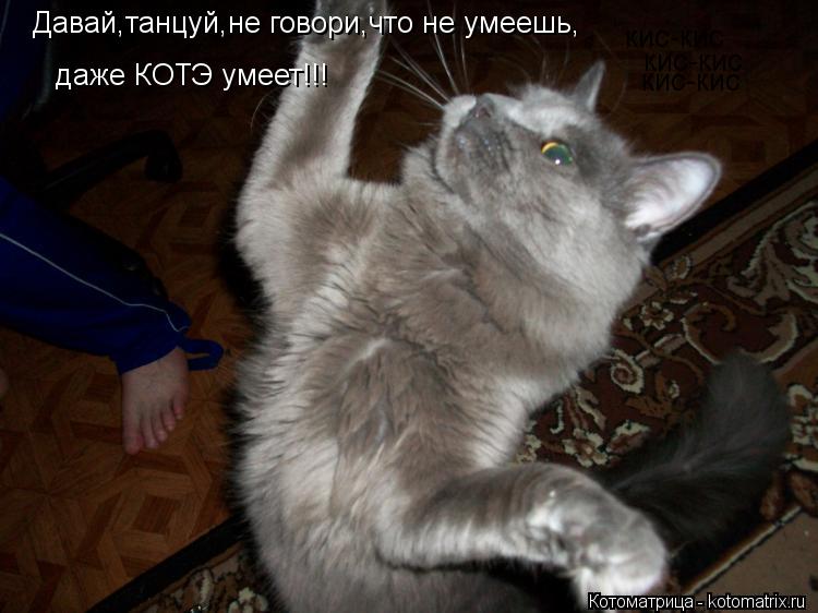 Котоматрица: Давай,танцуй,не говори,что не умеешь, даже КОТЭ умеет!!! кис-кис  кис-кис  кис-кис