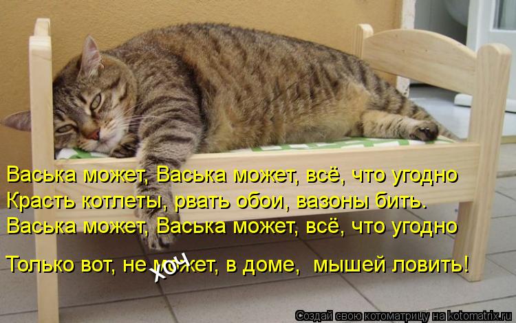 Котоматрица: Васька может, Васька может, всё, что угодно  Красть котлеты, рвать обои, вазоны бить.  Васька может, Васька может, всё, что угодно  Только вот, н
