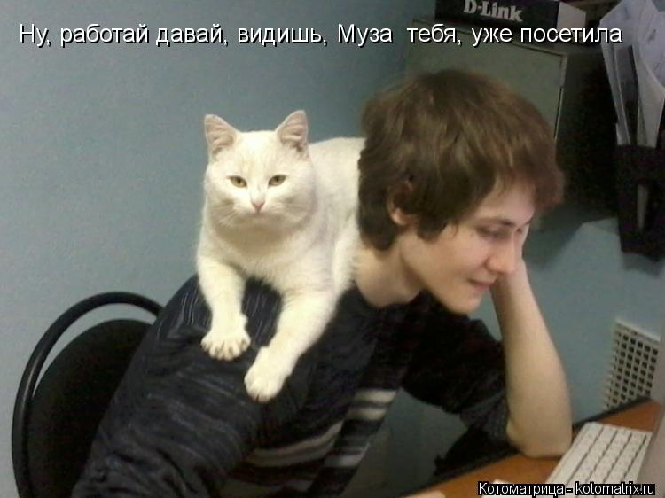 Котоматрица: Ну, работай давай, видишь, Муза  тебя, уже посетила