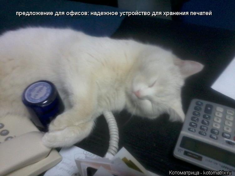 Котоматрица: предложение для офисов: надежное устройство для хранения печатей