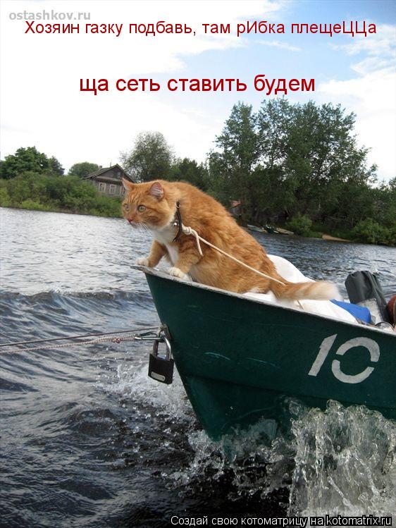 Котоматрица: Хозяин газку подбавь, там рИбка плещеЦЦа ща сеть ставить будем