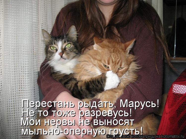 Котоматрица: Перестань рыдать, Марусь! Не то тоже разревусь! мыльно-оперную грусть! Мои нервы не выносят
