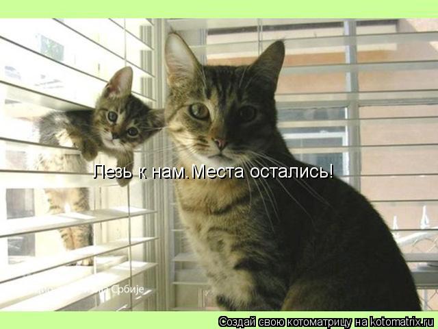 Котоматрица: Лезь к нам.Места остались!