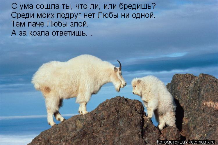 Котоматрица: С ума сошла ты, что ли, или бредишь? Среди моих подруг нет Любы ни одной. Тем паче Любы злой. А за козла ответишь...