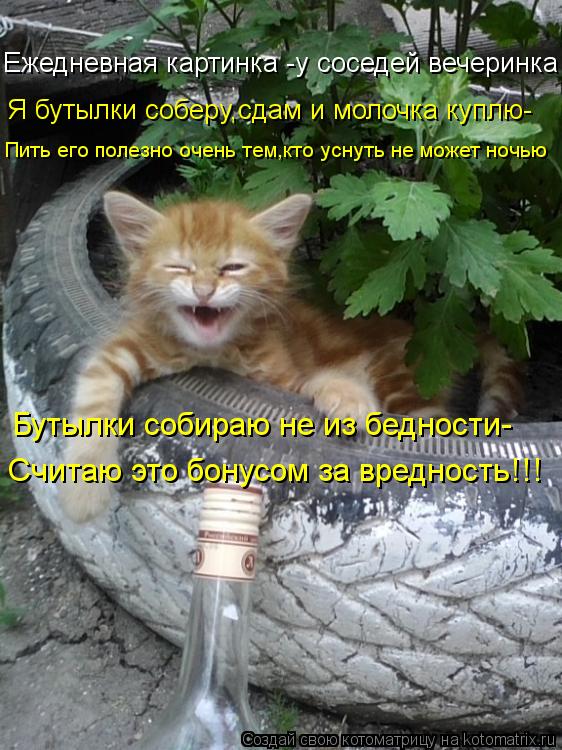 Ежедневная картинка -у соседей вечеринка Я бутылки соберу,сдам и молочка куплю- Пить его полезно очен... Котоматрица: Ежедневная картинка -у соседей вечеринка Я бутылки соберу,сдам и молочка куплю- Пить его полезно очень тем,кто уснуть не может ночью Бутылк