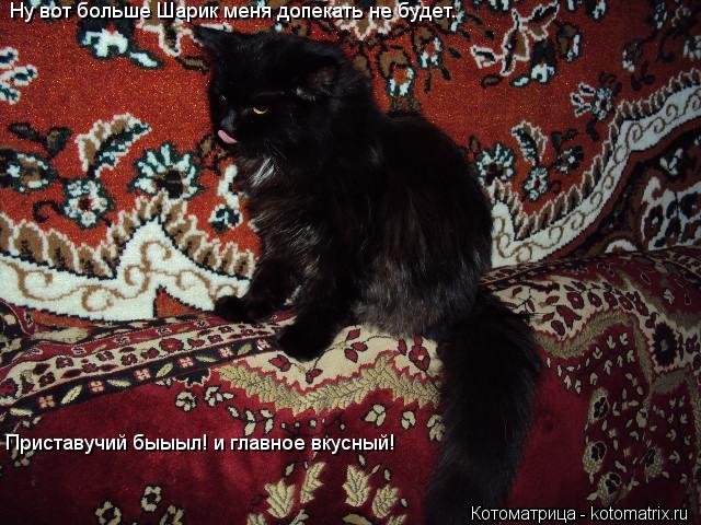 Котоматрица: Ну вот больше Шарик меня допекать не будет.  Приставучий быыыл! и главное вкусный!