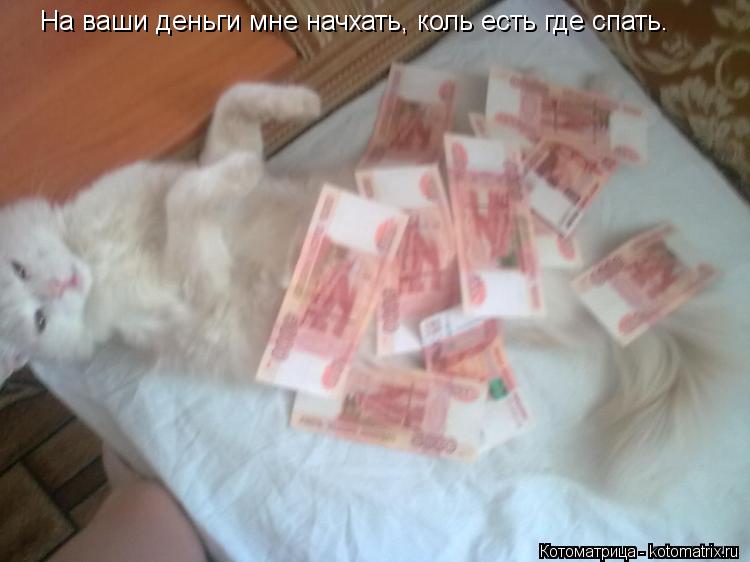 Котоматрица: На ваши деньги мне начхать, коль есть где спать.