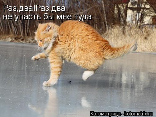Котоматрица: Раз,два!Раз,два не упасть бы мне туда