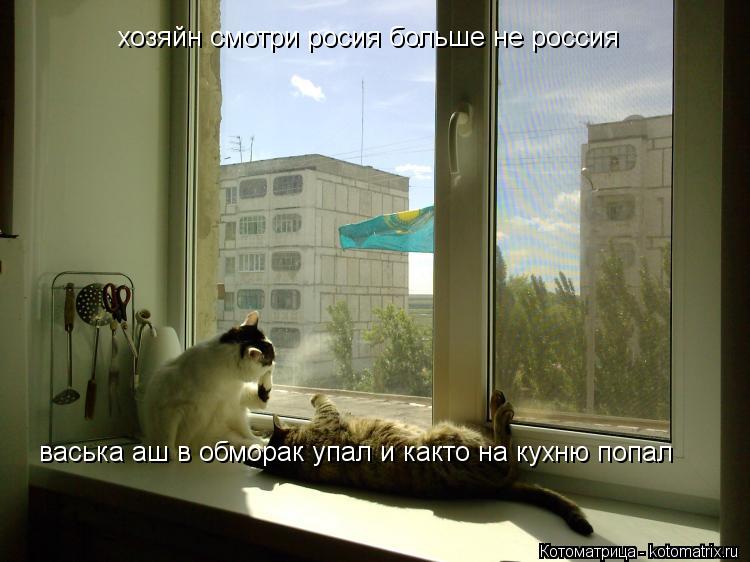 Котоматрица: хозяйн смотри росия больше не россия васька аш в обморак упал и както на кухню попал