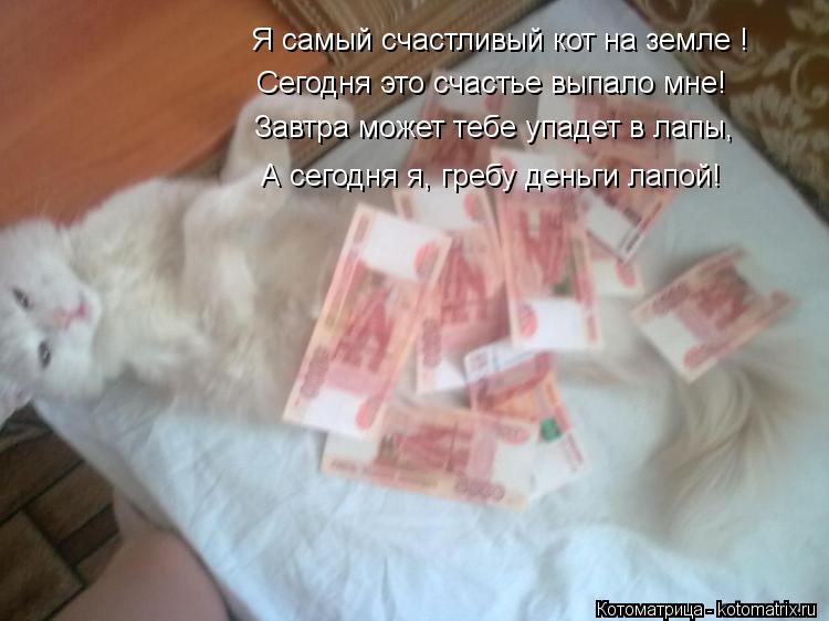 Котоматрица: Я самый счастливый кот на земле ! Сегодня это счастье выпало мне! Завтра может тебе упадет в лапы, А сегодня я, гребу деньги лапой!