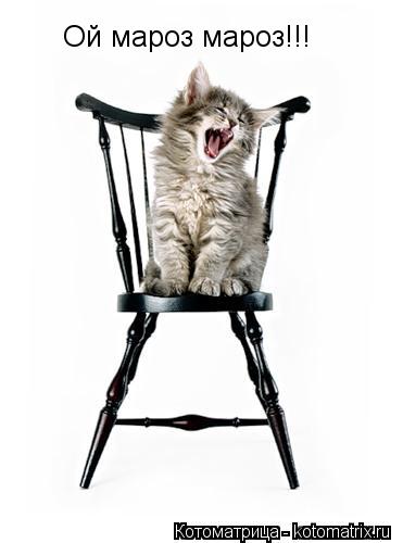 Котоматрица: Ой мароз мароз!!!