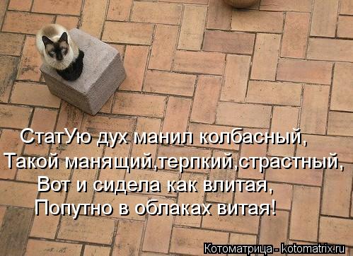 Котоматрица: СтатУю дух манил колбасный, Такой манящий,терпкий,страстный, Вот и сидела как влитая, Попутно в облаках витая!