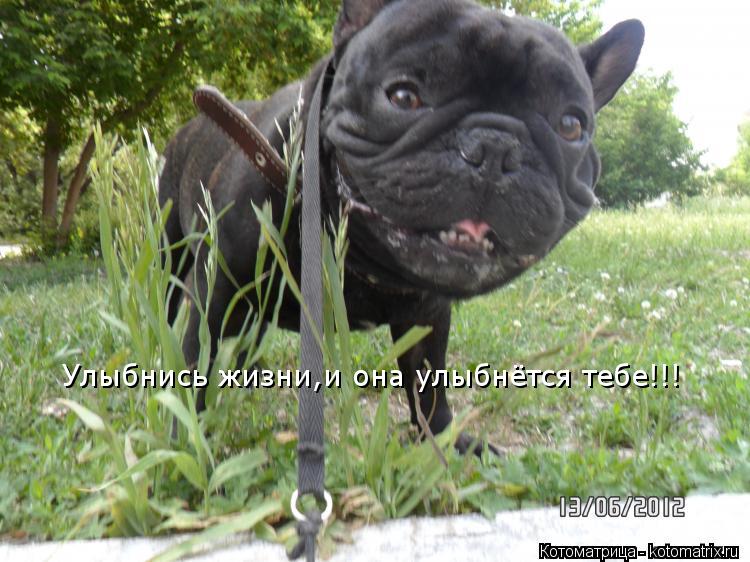 Котоматрица: Улыбнись жизни,и она улыбнётся тебе!!!