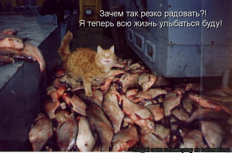 Котоматрица: Зачем так резко радовать?! Я теперь всю жизнь улыбаться буду!