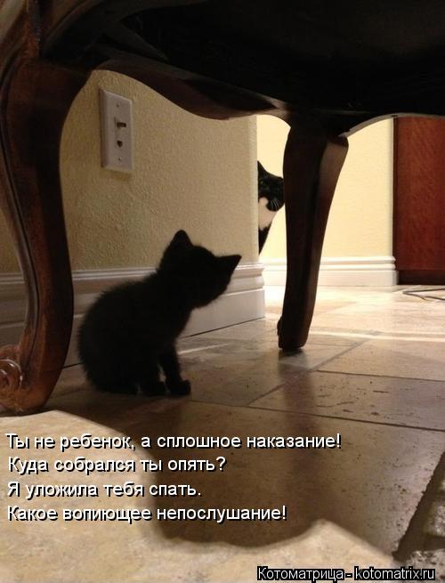 Котоматрица: Ты не ребенок, а сплошное наказание! Куда собрался ты опять? Я уложила тебя спать. Какое вопиющее непослушание!