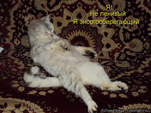 Котоматрица: Я! Не ленивый Я эноргосберегающий