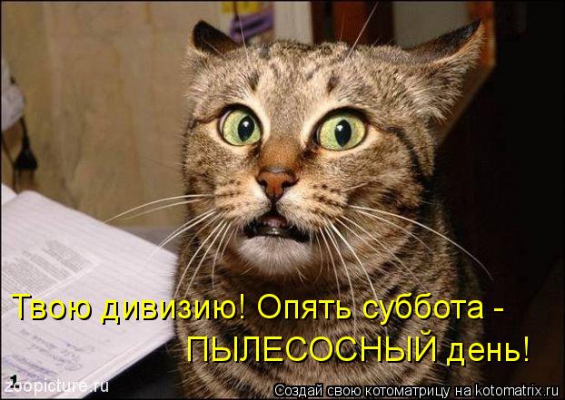 Котоматрица: Твою дивизию! Опять суббота -  ПЫЛЕСОСНЫЙ день!