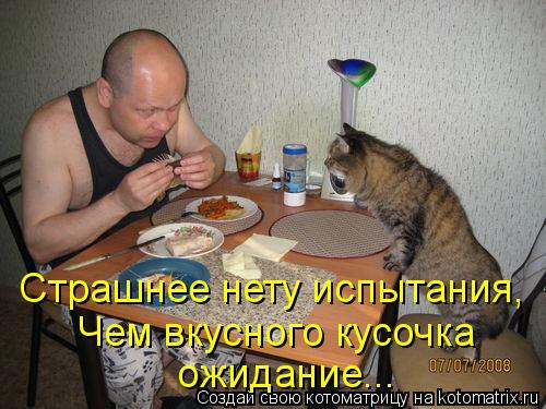 Котоматрица: Страшнее нету испытания, Чем вкусного кусочка ожидание...
