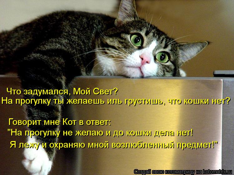 Котоматрица: Что задумался, Мой Свет? Говорит мне Кот в ответ: "На прогулку не желаю и до кошки дела нет! Я лежу и охраняю мной возлюбленный предмет!" На про