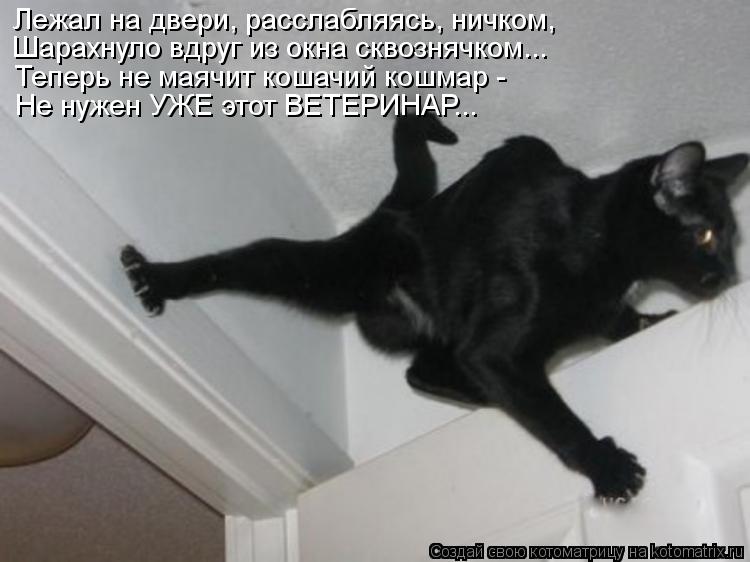 Лежал на двери, расслабляясь, ничком, Шарахнуло вдруг из окна сквознячком... Теперь не маячит кошачий... Котоматрица: Лежал на двери, расслабляясь, ничком, Шарахнуло вдруг из окна сквознячком... Теперь не маячит кошачий кошмар - Не нужен УЖЕ этот ВЕТЕРИНАР...