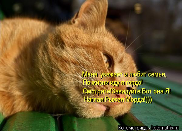 Котоматрица: Меня  уважает и любит семья, По жизни иду я гордо! Смотрите!Завидуйте!Вот она Я! Наглая Рыжая Морда!)))