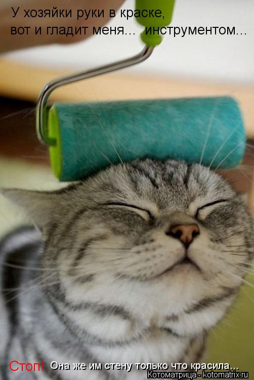 Котоматрица: У хозяйки руки в краске, вот и гладит меня...  инструментом... Стоп! Она же им стену только что красила...
