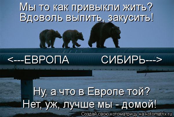 Котоматрица: <---ЕВРОПА           СИБИРЬ---> Вдоволь выпить, закусить! Мы то как привыкли жить? Ну, а что в Европе той? Нет, уж, лучше мы - домой!