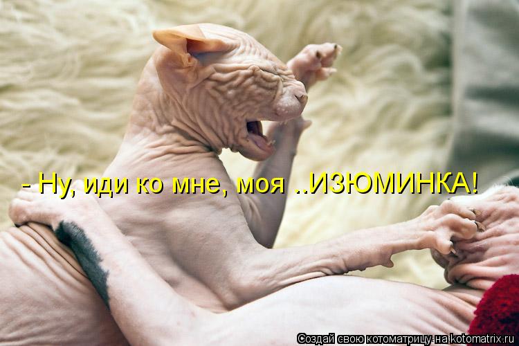 Котоматрица: - Ну, иди ко мне, моя ..ИЗЮМИНКА!