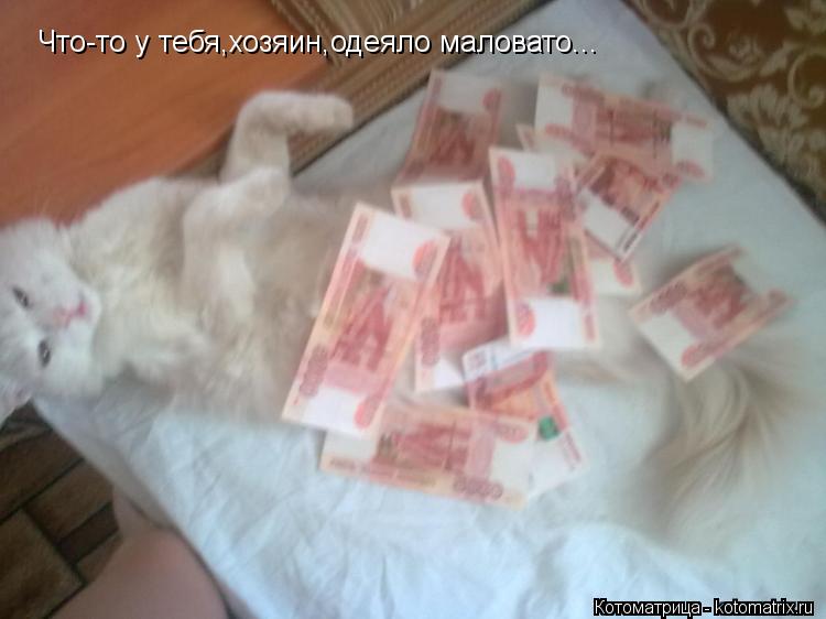 Котоматрица: Что-то у тебя,хозяин,одеяло маловато...