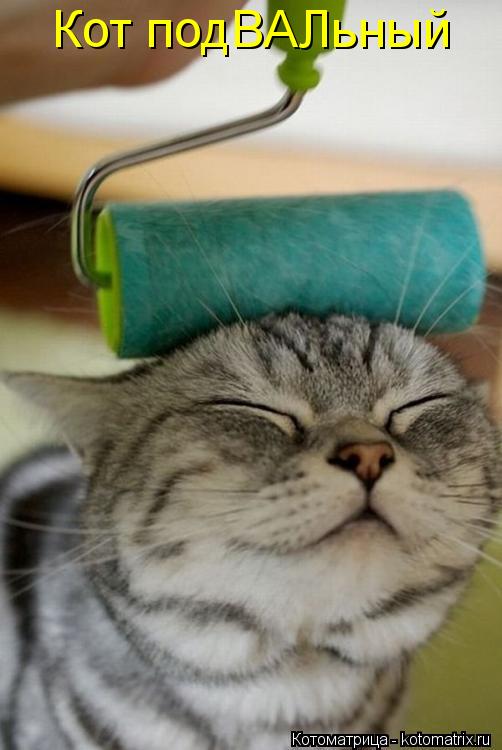 Котоматрица: Кот подВАЛьный