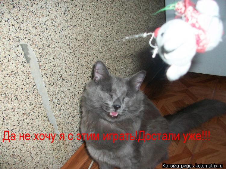 Котоматрица: Да не хочу я с этим играть!Достали уже!!!