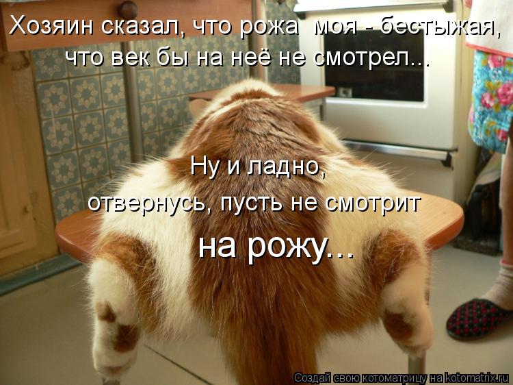 Хозяин сказал, что рожа моя - бестыжая, что век бы на неё не смотрел... отвернусь, пусть не смотрит ... Котоматрица: Хозяин сказал, что рожа моя - бестыжая, что век бы на неё не смотрел... отвернусь, пусть не смотрит на рожу... Ну и ладно,