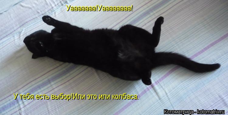 Котоматрица: Уааааааа!Уаааааааа! У тебя есть выбор!Или это или колбаса.