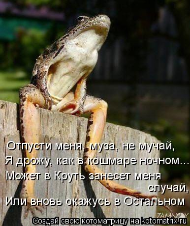 Котоматрица: Отпусти меня, муза, не мучай, Я дрожу, как в кошмаре ночном... Может в Круть занесет меня  случай, Или вновь окажусь в Остальном