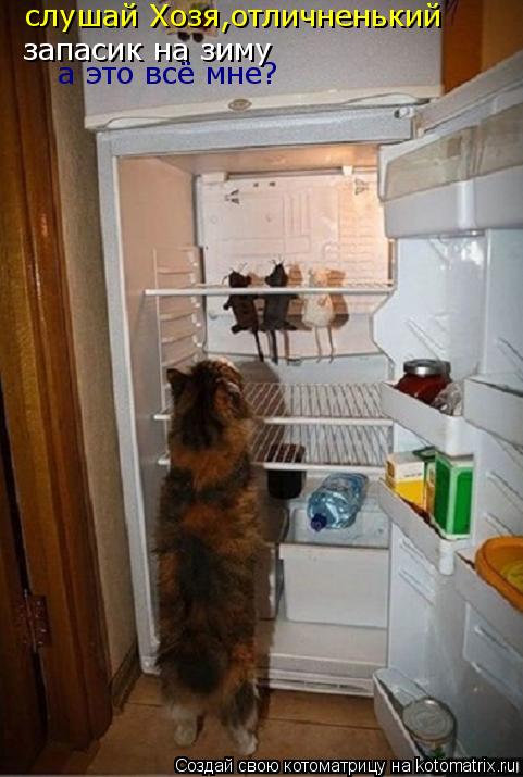 Котоматрица: запасик на зиму слушай Хозя,отличненький  а это всё мне?