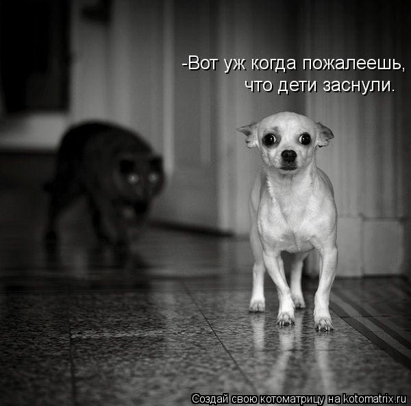 Котоматрица: -Вот уж когда пожалеешь, что дети заснули.