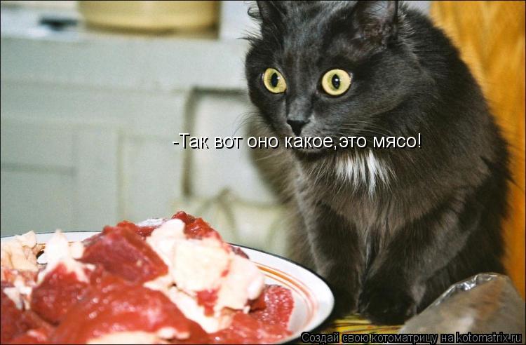 Котоматрица: -Так вот оно какое,это мясо!