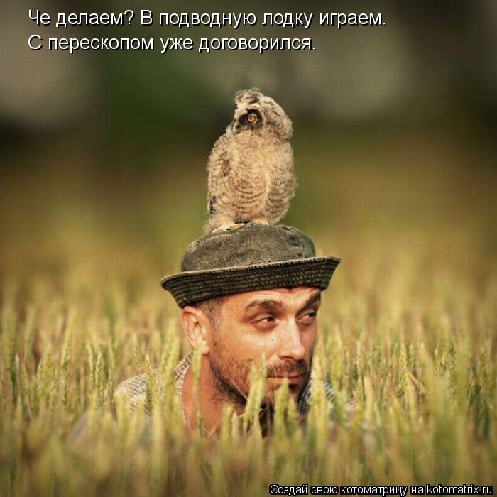Котоматрица: Че делаем? В подводную лодку играем. С перескопом уже договорился.