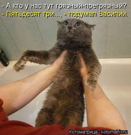 Котоматрица: - А кто у нас тут грязный-прегрязный? - Пятьдесят три..., - подумал Василий.