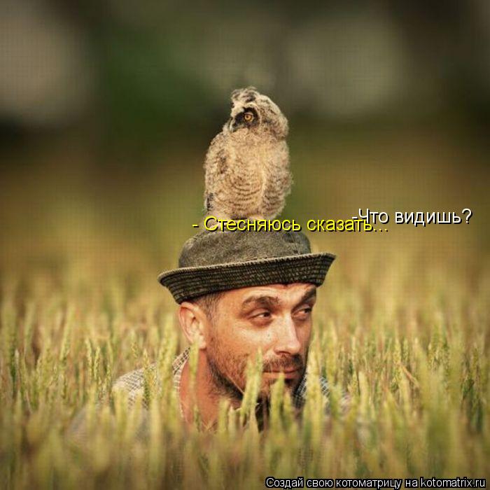 Котоматрица: -Что видишь? - Стесняюсь сказать...