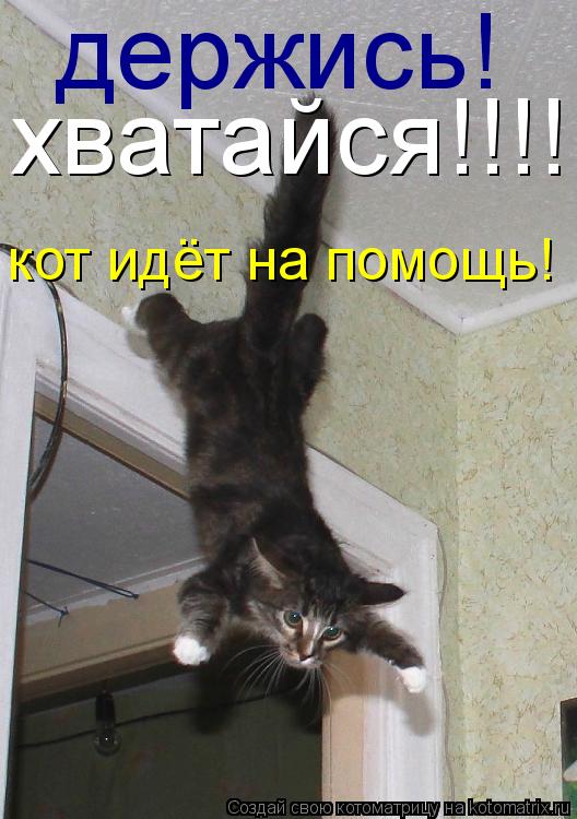 Котоматрица: хватайся!!!! держись! кот идёт на помощь!