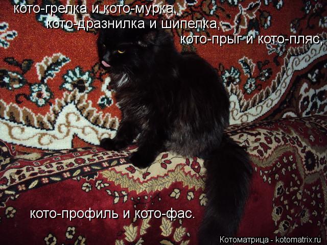 Котоматрица: кото-грелка и кото-мурка, кото-дразнилка и шипелка, кото-прыг и кото-пляс, кото-профиль и кото-фас.