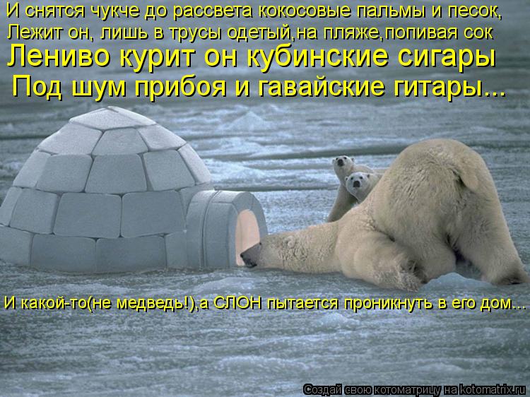И снятся чукче до рассвета кокосовые пальмы и песок, Лежит он, лишь в трусы одетый,на пляже,попивая с... Котоматрица: И снятся чукче до рассвета кокосовые пальмы и песок, Лежит он, лишь в трусы одетый,на пляже,попивая сок Лениво курит он кубинские сигары Под